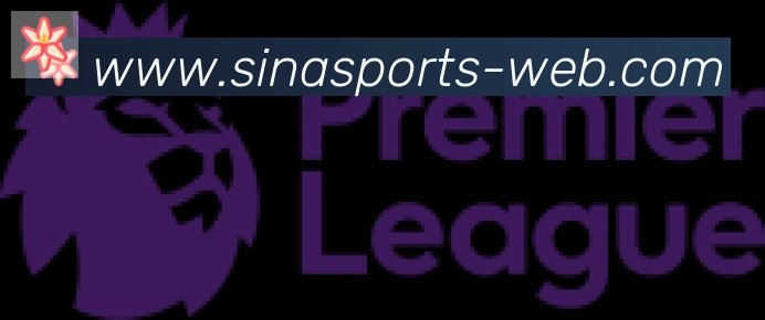 新浪体育合作伙伴