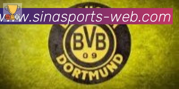 新浪体育合作伙伴