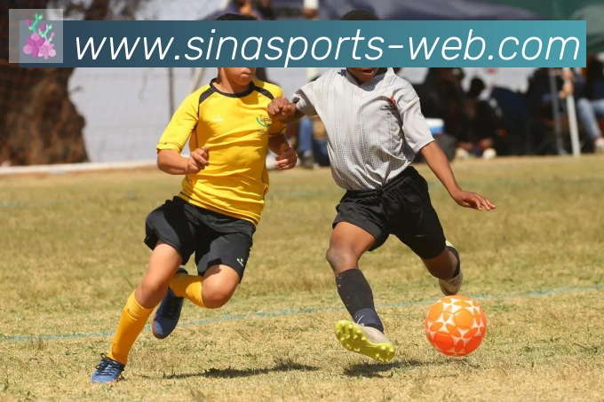 数据防护可视化